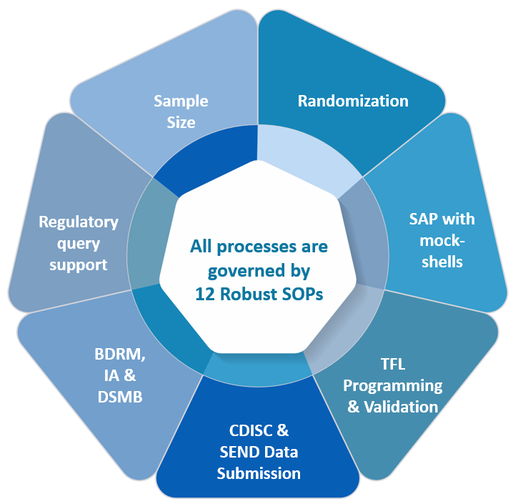 Biostatistics and Programming Services